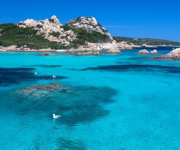 Maddalena Archipelago - Sardinia - Italy